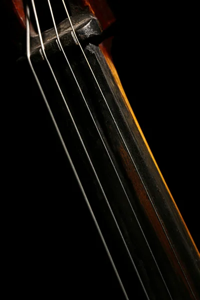 Part of musical string instrument — Stock Photo, Image