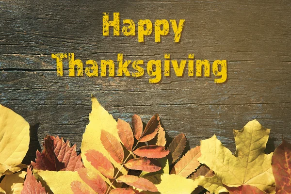 Happy thanksgiving day — Stockfoto