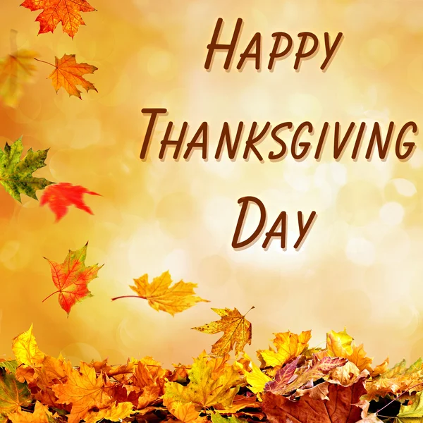 Happy thanksgiving day — Stockfoto