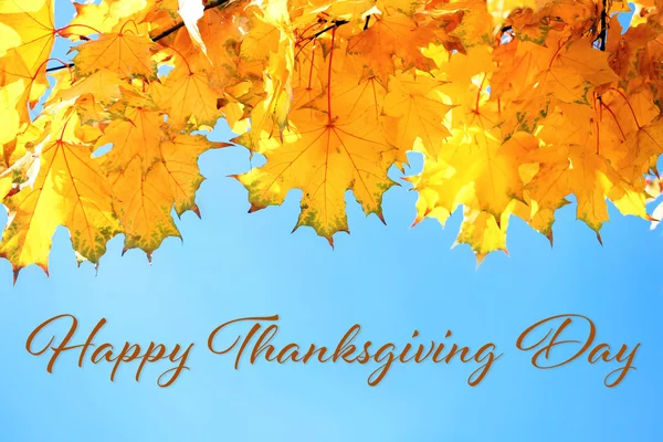 Happy thanksgiving day — Stockfoto