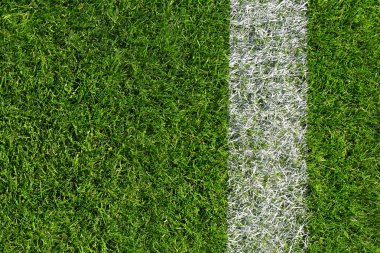 alan için spor oyunları