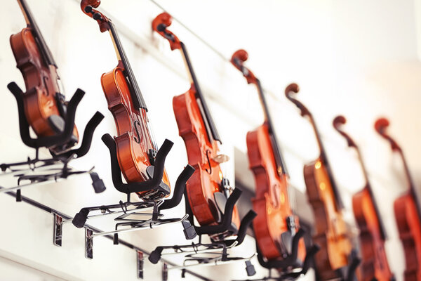 Violins in music shop