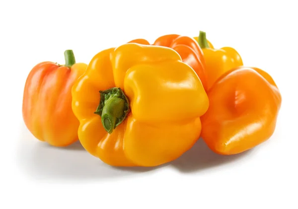 Frische Paprika auf weißem Hintergrund — Stockfoto