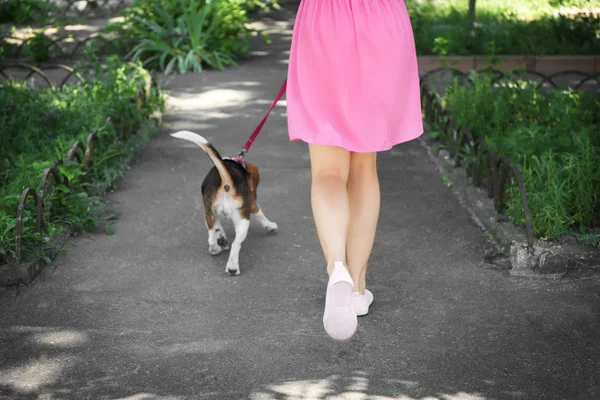 Žena chodící pes v parku — Stock fotografie