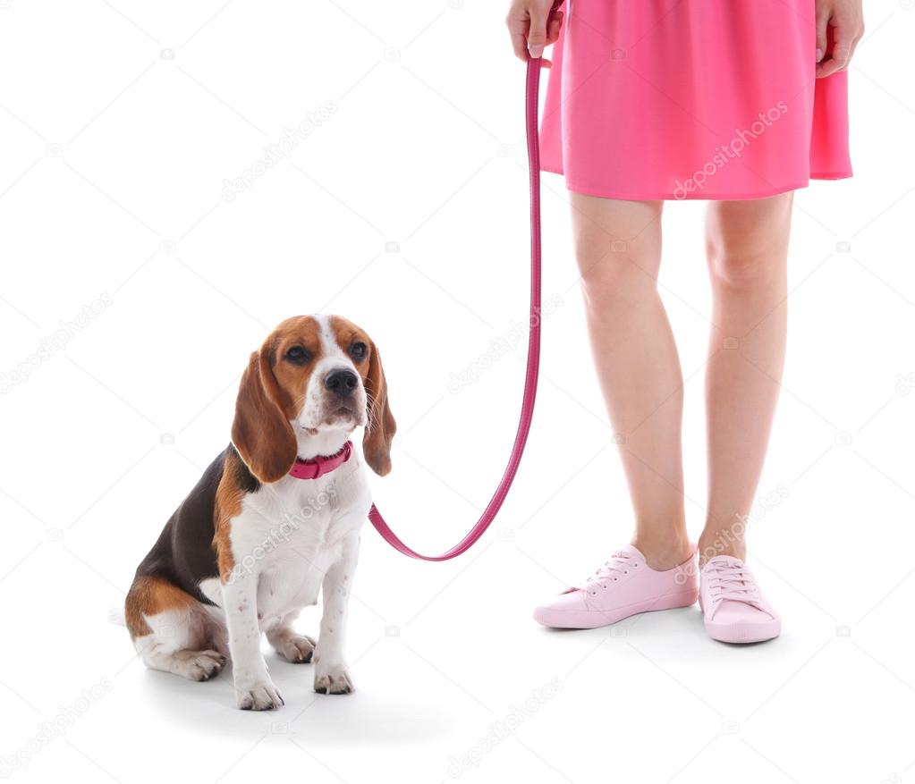Young woman walking dog