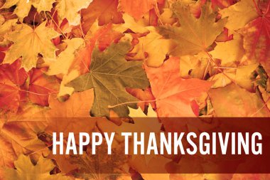 Şükran günün kutlu olsun