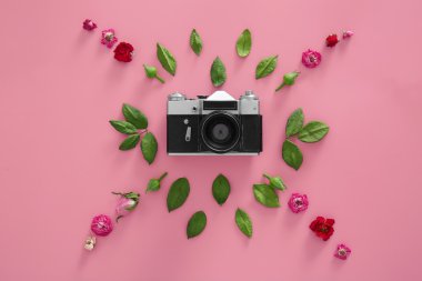 Vintage fotoğraf makinesi ve pembe bir arka plan üzerinde renkli çiçekler