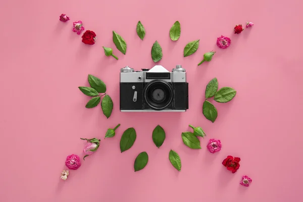 Cámara vintage y flores de colores sobre fondo rosa —  Fotos de Stock