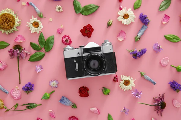 Vintage camera and colourful flowers on pink background