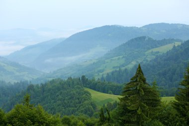 Yazın Karpat Dağları