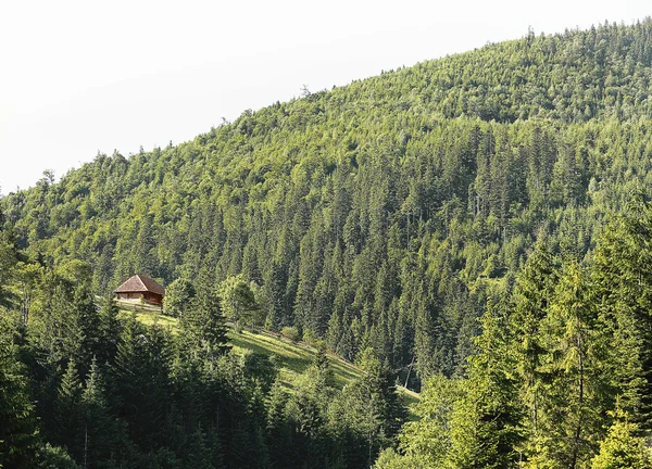 Bellissimi paesaggi di montagna — Foto Stock