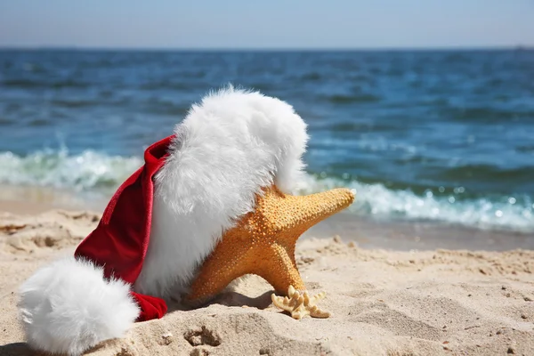 Chapéu de Santa com estrelas do mar na praia — Fotografia de Stock