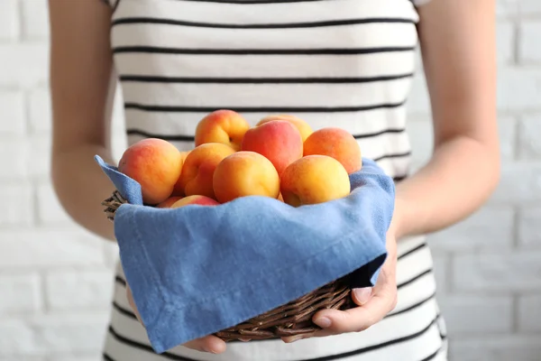 Жінка тримає купу абрикосів — стокове фото