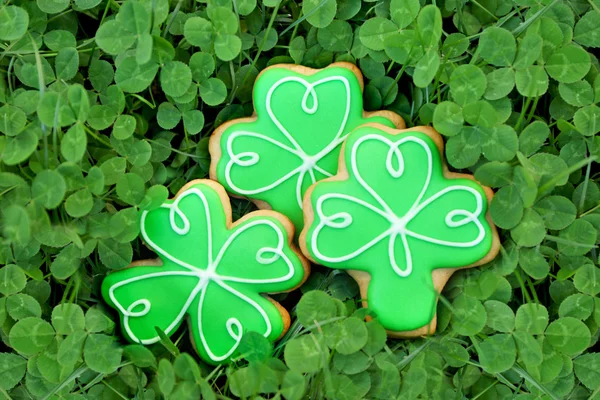 Saint Patrics Day concept — Stock Photo, Image