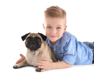 pug köpek beyaz çocukla