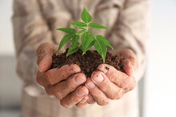 Planta de exploração — Fotografia de Stock