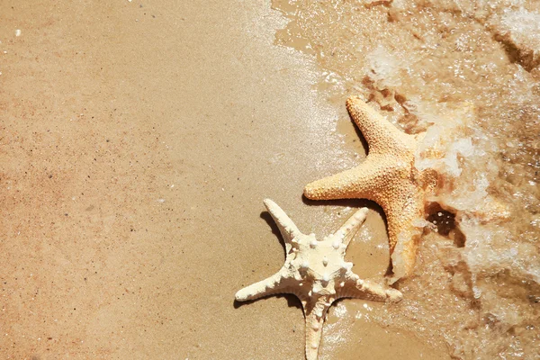 Sea stars on beach — Stock Photo, Image