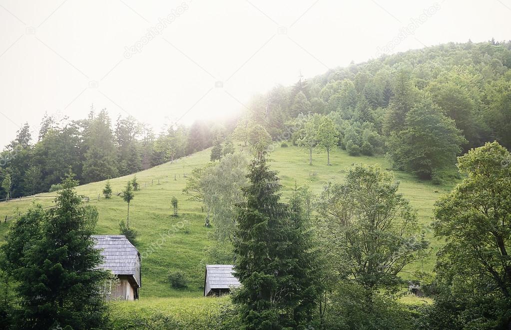 Beautiful Carpathian mountains landscapes