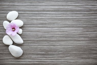 Ebegümeci ahşap arka plan üzerinde taşlarla Spa