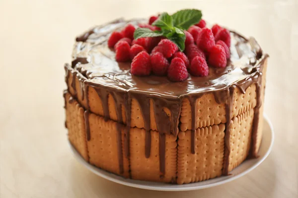 녹 인 초콜릿 쿠키 케이크 — 스톡 사진