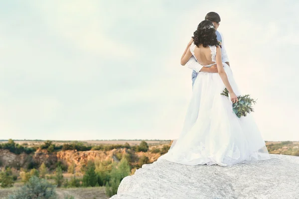 Brautpaar und schöne Landschaft — Stockfoto