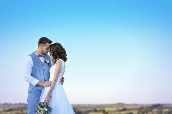 Bruden och brudgummen och vackra landskap — Stockfoto
