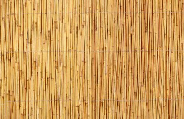 Bej reed arka plan görünümünü