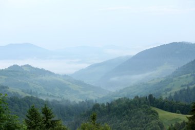 Yazın Karpat Dağları