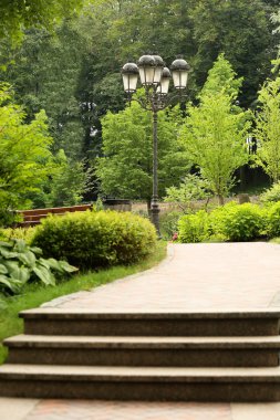 Yeşil güzel park sokakta