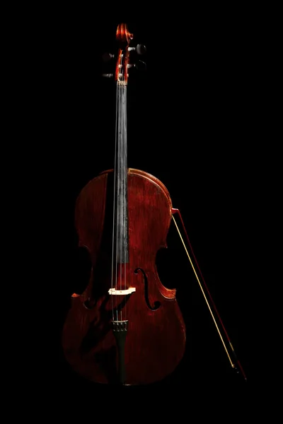 Contrabass Dark Background — Stock Photo, Image