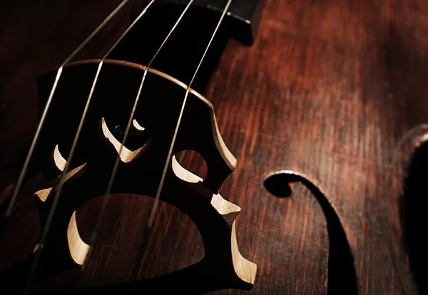 音楽の弦楽器 クローズ アップの一部 — ストック写真