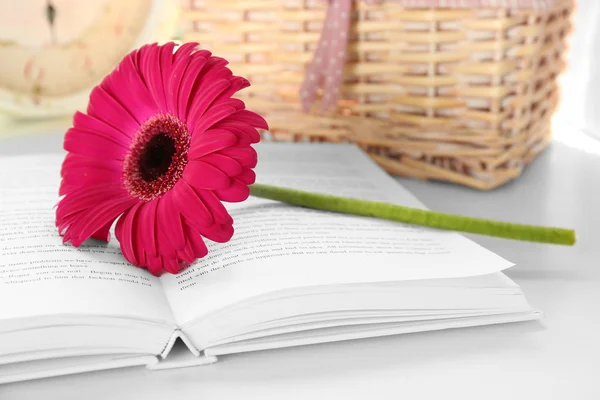 Beautiful gerbera flower on open book, close up — Φωτογραφία Αρχείου