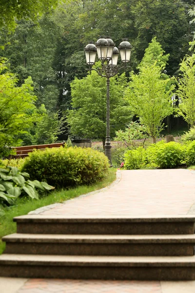 Alley in green beautiful park — Stock Photo, Image