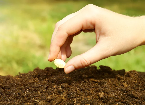 Vrouw hand zetten zaad — Stockfoto