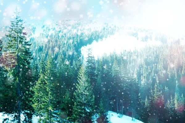 美しい雪の山の風景 — ストック写真