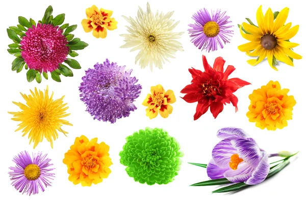 güzel çiçekler kolaj