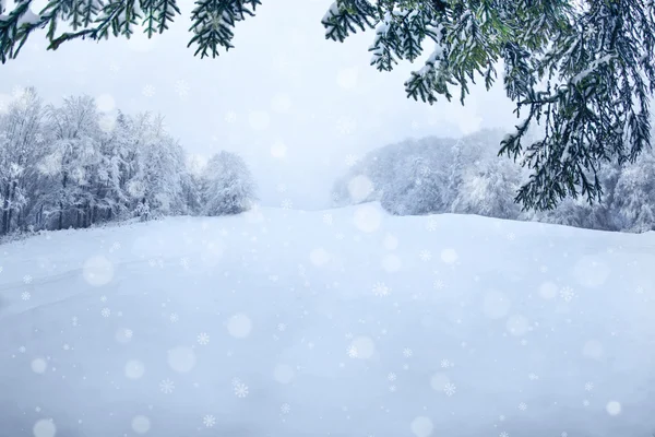 Hermoso paisaje nevado —  Fotos de Stock