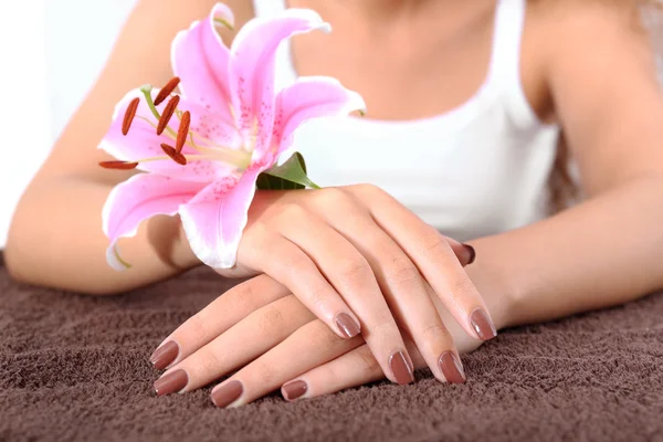Mani con manicure marrone — Foto Stock