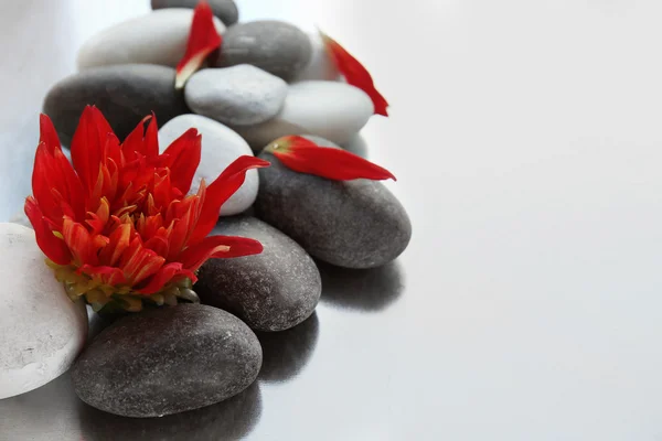 Spa stenen met bloem — Stockfoto