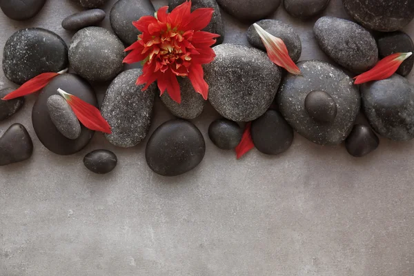 Wellness-Steine mit Blume — Stockfoto