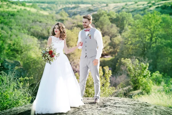 Gelin ve damat ve güzel manzara