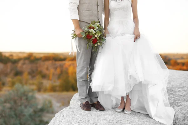 Menyasszony és a vőlegény állandó gyönyörű táj felett — Stock Fotó