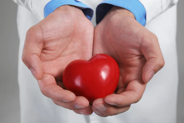 Male doctor holding red heart, closeup — Stock Photo, Image