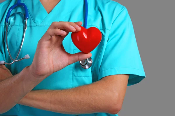 Male doctor holding red heart, closeup — Stock Photo, Image