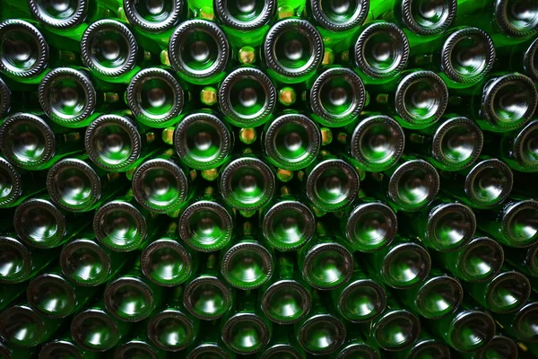 Många vinflaskor i källare — Stockfoto