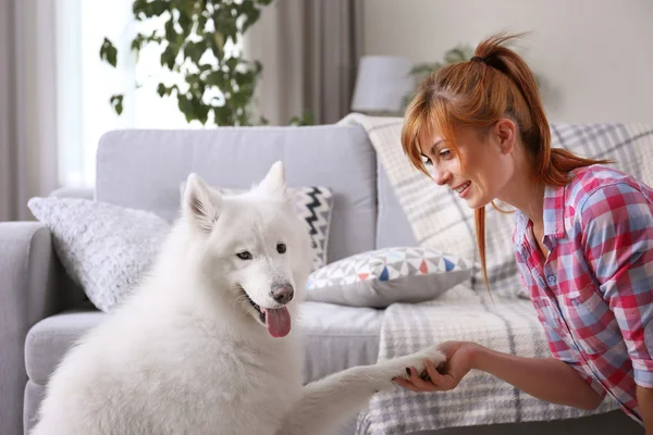 Flicka med söta samojedvalpar hund — Stockfoto