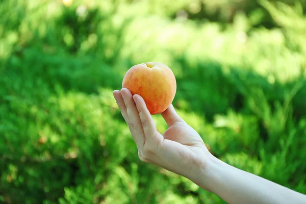 Woman holding peach on blurred nature background — Stockfoto
