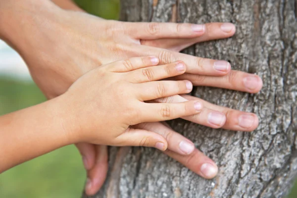 Family hands on tree trunk background — Stock Photo, Image