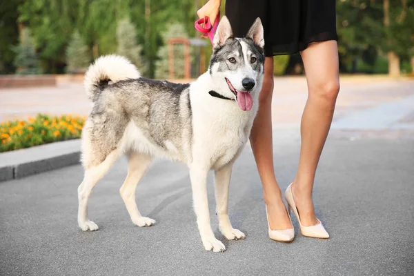 Mulher andando com cão — Fotografia de Stock