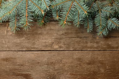 Yılbaşı çam ağacı  